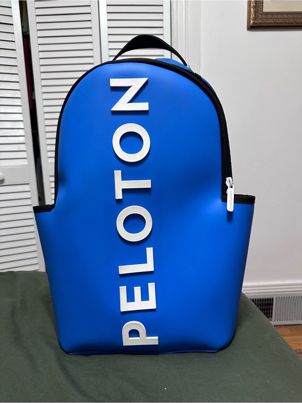 Limited Edition Sprayground Peloton Backpack